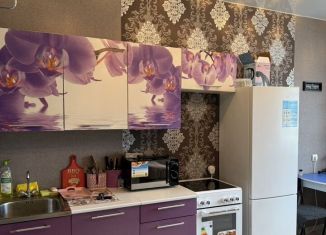 Сдается 1-ком. квартира, 35 м2, Биробиджан, Широкая улица, 24, микрорайон А