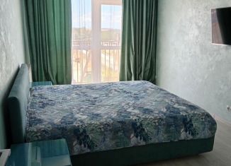 Аренда 1-ком. квартиры, 39 м2, Севастополь, улица Челнокова, 17к2Г