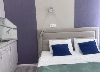 Квартира в аренду студия, 16 м2, Санкт-Петербург, Гороховая улица, 55