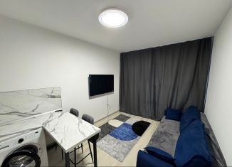 Сдам в аренду однокомнатную квартиру, 31.6 м2, Санкт-Петербург, Кузнецовская улица, 58к1