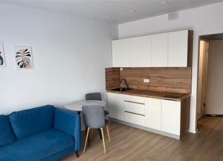 Сдаю квартиру студию, 21 м2, Котельники, микрорайон Белая Дача, 26