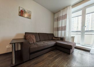 Сдается квартира студия, 30 м2, Новосибирск, улица Дуси Ковальчук, 248, ЖК Заельцовский