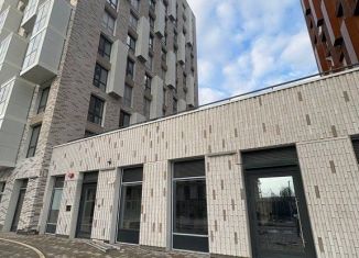 Продам помещение свободного назначения, 67.7 м2, Санкт-Петербург, Галерный проезд, 1к2, муниципальный округ Гавань