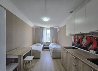 Аренда квартиры студии, 25 м2, Сочи, СТ Фронтовик, 9/21