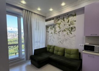 Сдается в аренду квартира студия, 24 м2, Сочи, Санаторная улица, 48А, микрорайон Новый Сочи