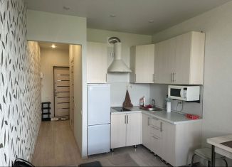 Квартира в аренду студия, 24 м2, село Засечное, Олимпийская улица, 14, ЖК Радужные Дворы