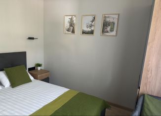 Сдаю в аренду однокомнатную квартиру, 21 м2, Сириус, Полевая улица, 15