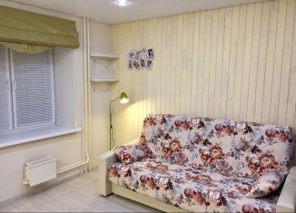 Продажа квартиры студии, 30 м2, Ачинск, 5-й микрорайон, 54