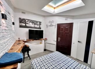 Сдам в аренду квартиру студию, 19 м2, Санкт-Петербург, Лиговский проспект, 27/7