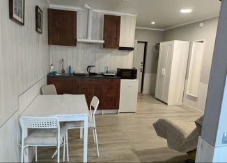 Сдается квартира студия, 30 м2, Сириус, улица Щирова, 16/1