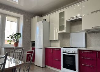 Сдается 2-ком. квартира, 55 м2, Йошкар-Ола, бульвар Ураева, 10А, микрорайон Мирный