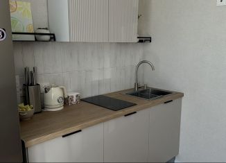 Сдаю в аренду квартиру студию, 26 м2, Анапа, Таманская улица, 121к17