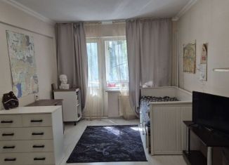 1-комнатная квартира на продажу, 30.8 м2, Санкт-Петербург, шоссе Революции, 21к2, шоссе Революции