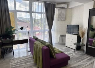 Сдается однокомнатная квартира, 36 м2, Сочи, Дагомысская улица, 3/1, микрорайон Больничный Городок