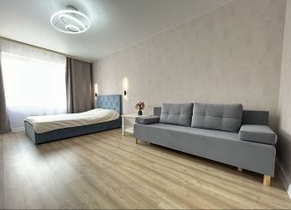 Продается 1-комнатная квартира, 35.1 м2, Владимирская область, улица Родионовка, 4А