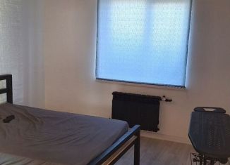 Сдается дом, 74 м2, Белгородская область, Зареченская улица, 14А