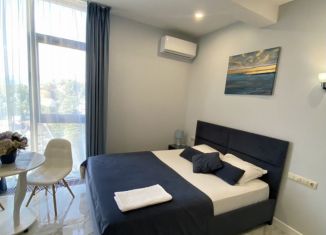 Аренда квартиры студии, 22 м2, Сочи, Депутатская улица, 10Б/1, ЖК Метрополь