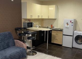 Сдам в аренду квартиру студию, 17 м2, Республика Башкортостан, Комсомольская улица, 96/1