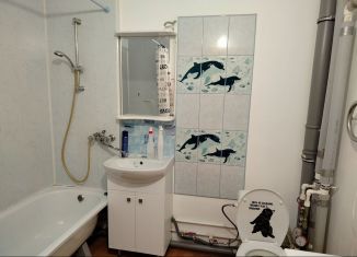 Сдается 1-ком. квартира, 38 м2, посёлок Парголово, улица Фёдора Абрамова, 18к1, ЖК Северная Долина