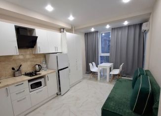 Аренда 1-ком. квартиры, 43 м2, село Небуг, улица Газовиков, 3А/2