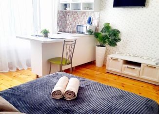 Сдается квартира студия, 25 м2, Республика Башкортостан, улица Воинов-Интернационалистов, 7