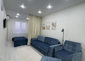 Сдача в аренду 1-ком. квартиры, 40 м2, Краснодар, Дубравная улица, 1, микрорайон Молодёжный