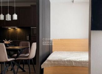 Сдается в аренду квартира студия, 34.9 м2, Мурино, Екатерининская улица, 6к1, ЖК Виктория