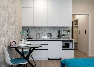 Квартира в аренду студия, 24 м2, Сочи, улица Искры, 88к2, микрорайон Кудепста