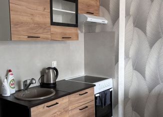 Однокомнатная квартира в аренду, 25 м2, Республика Башкортостан, улица Пугачёва, 33