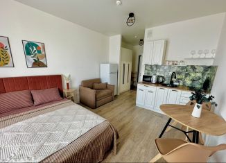 Сдаю в аренду квартиру студию, 21 м2, Люберцы, улица Камова, 1к1, ЖК Люберцы 2020