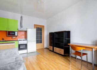 Продается квартира студия, 22.6 м2, Кудрово, Пражская улица, 13, ЖК Вернисаж