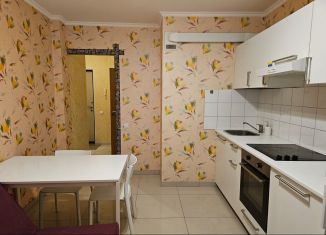 Сдаю в аренду 1-комнатную квартиру, 40 м2, Санкт-Петербург, улица Шкапина, 9-11