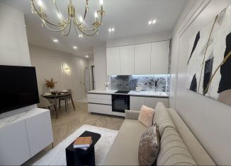 Сдается двухкомнатная квартира, 41 м2, Сочи, переулок Трунова, 6к7, микрорайон Завокзальный