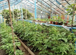 Дом на продажу, 40 м2, посёлок городского типа Заводской, СНО Локомотив, 343