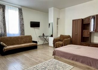 Квартира в аренду студия, 34 м2, Ростов-на-Дону, улица Черевичкина, 102