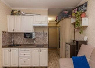 Продам квартиру студию, 20 м2, Тюмень, улица Новосёлов, 117