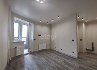 Продается квартира студия, 24.8 м2, Санкт-Петербург, Заневский проспект, 42, Заневский проспект