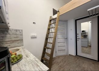 Сдам в аренду квартиру студию, 16 м2, Санкт-Петербург, Загородный проспект, 15