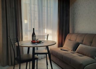 1-ком. квартира в аренду, 33 м2, Сочи, Красная улица, 34Ж, микрорайон Завокзальный