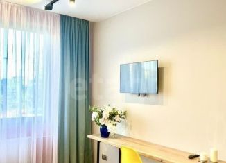 Квартира на продажу студия, 25 м2, Санкт-Петербург, дорога на Турухтанные Острова, 5к1