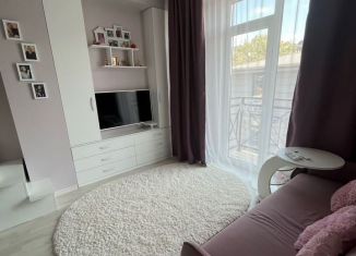 Продажа однокомнатной квартиры, 20 м2, Сочи, Молодогвардейская улица, 2/85, микрорайон Соболевка