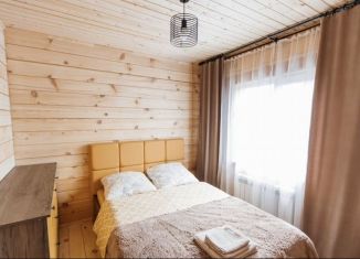 Дом в аренду, 50 м2, село Элекмонар, Медовая улица