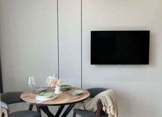 Аренда квартиры студии, 18 м2, Сочи, Ясногорская улица, 16/6к2, микрорайон Бытха