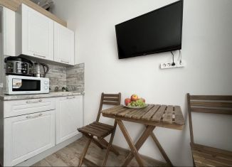 Сдача в аренду квартиры студии, 14 м2, Санкт-Петербург, Загородный проспект, 15