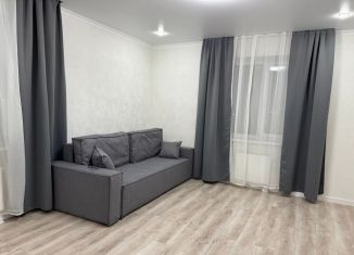 Сдается в аренду однокомнатная квартира, 40 м2, деревня Куюки, Молодёжная улица, 3