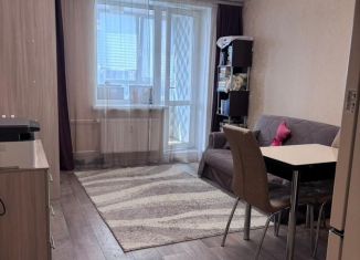 Продается квартира студия, 26.3 м2, посёлок Парголово, улица Михаила Дудина, 10