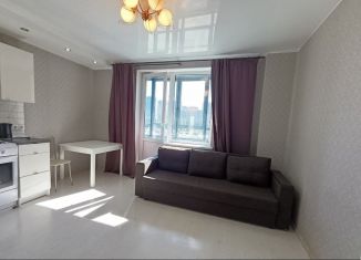 Сдаю квартиру студию, 27 м2, Мурино, проспект Авиаторов Балтики, 7, ЖК Виктория