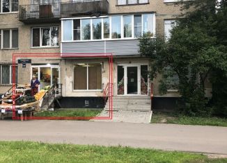 Сдается помещение свободного назначения, 28 м2, Санкт-Петербург, Будапештская улица, 17к1, метро Международная