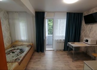 Аренда квартиры студии, 20 м2, Новомосковск, улица Мира, 3