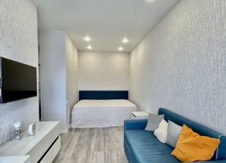 Сдается 1-ком. квартира, 35 м2, Пенза, улица Шмидта, 24